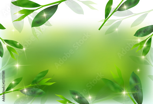 お茶　緑　葉　背景