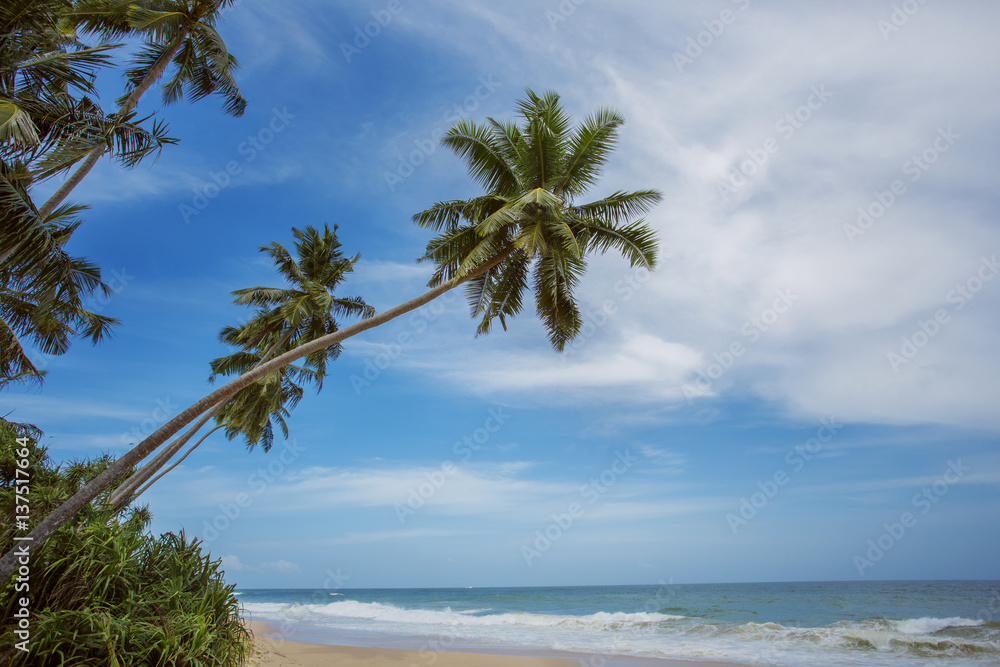 Untouched tropical beach