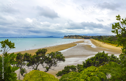 Long Bay Beach Auckland New Zealand; Regional Park
