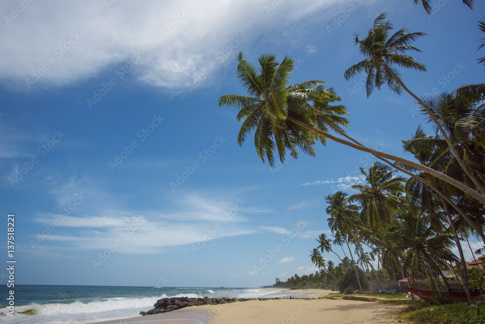 View on tropical beach of Sri Lanka