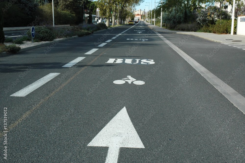 Obraz premium Signalisation horizontale : couloir réservé pour bus et vélos.