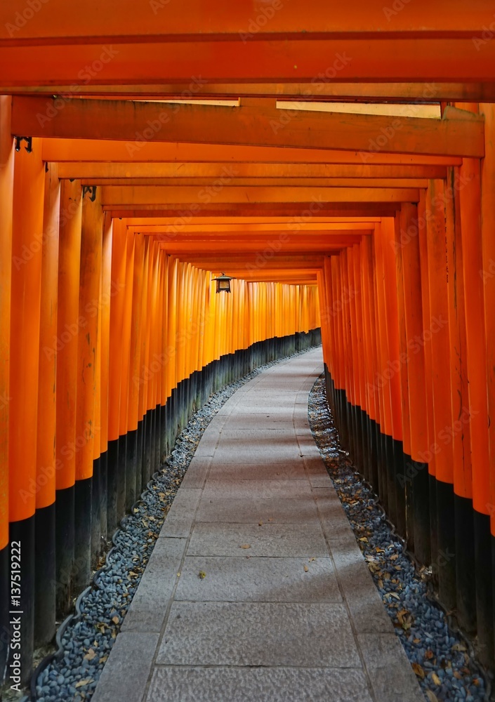 Red pillar gates of the Fushimi Inari Taisha shrine in Kyoto Red pillar gates of the Fushimi Inari Taisha shrine in Kyoto