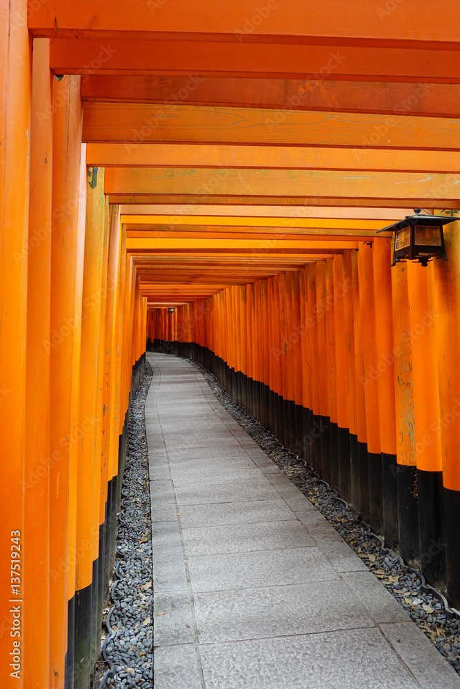 Red pillar gates of the Fushimi Inari Taisha shrine in Kyoto Red pillar gates of the Fushimi Inari Taisha shrine in Kyoto