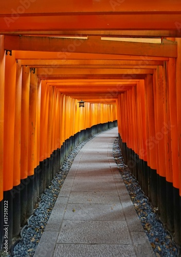 Red pillar gates of the Fushimi Inari Taisha shrine in Kyoto