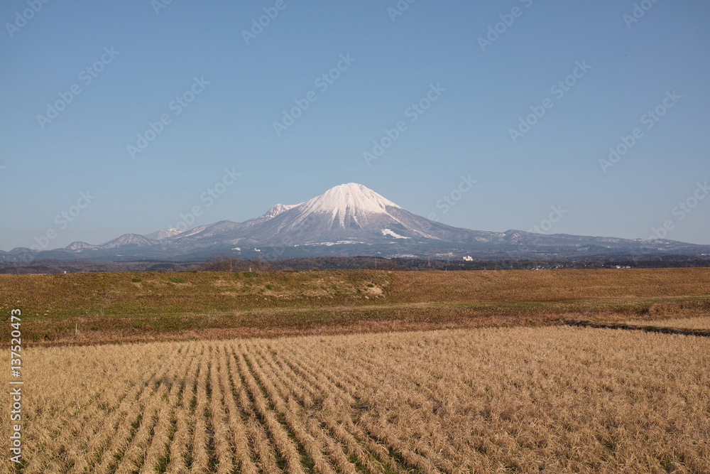 米子市八幡から見た冬の大山 米子市八幡から見た冬の大山