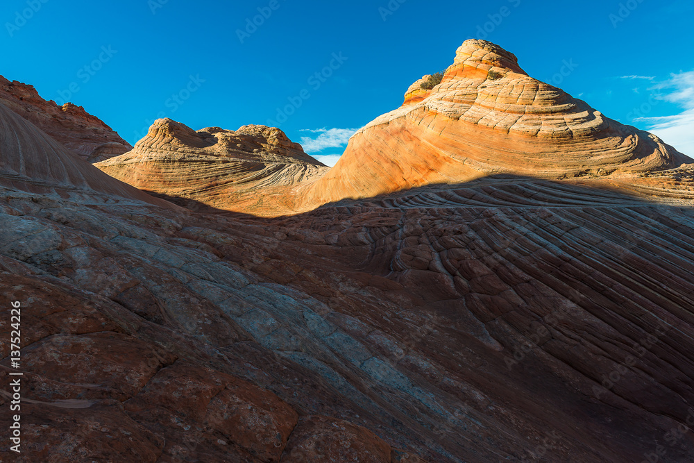 The Wave, Navajo Sandstone, Arizona