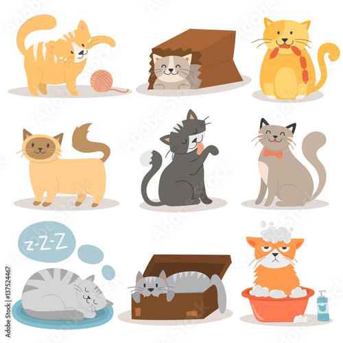 Cute cats character different pose vector set.