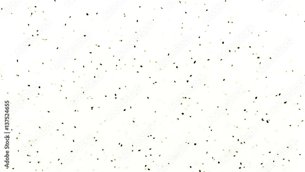 Dark Shadows Particles Dark Shadows Particles