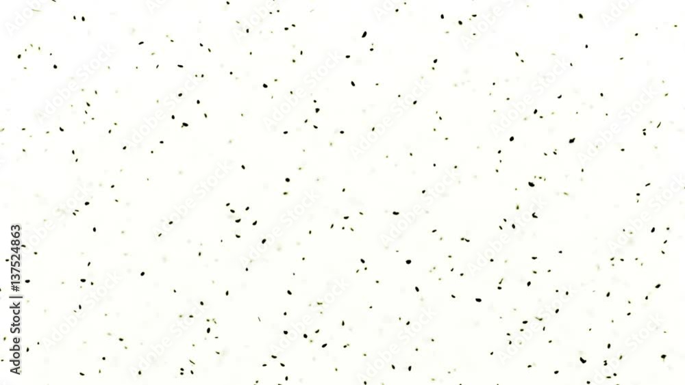 Dark Shadows Particles Dark Shadows Particles