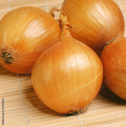 Onion bulbs
