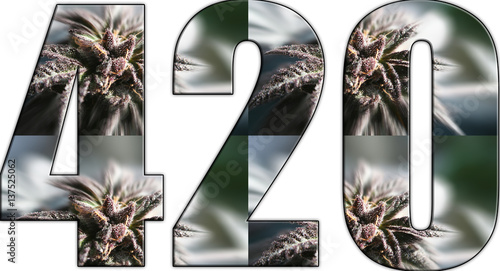 Fototapeta Naklejka Na Ścianę i Meble -  Marijuana Logo High Quality 