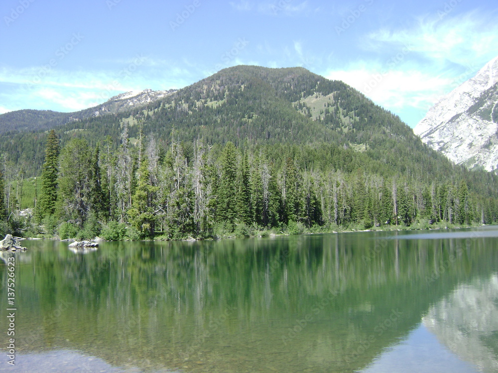 Mountain Lake And Forest