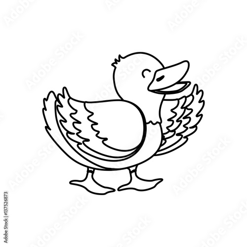 duck farm animal icon vector illustration graphic design