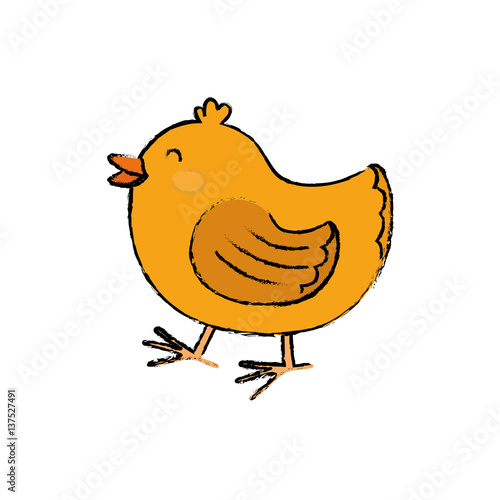 chicken farm animal icon vector illustration graphic design