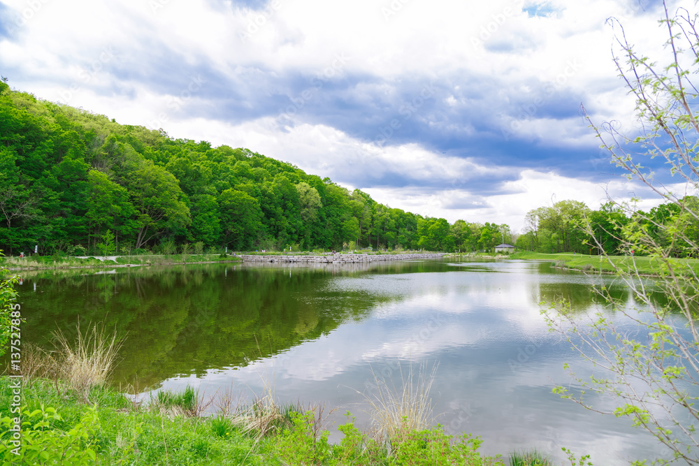 Fototapeta premium Nice amazing view of natural landscape in outdoor park
