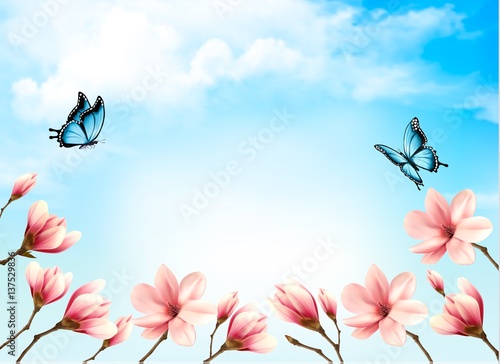 Nature spring background with beautiful magnolia branches on blue sky. Vector.