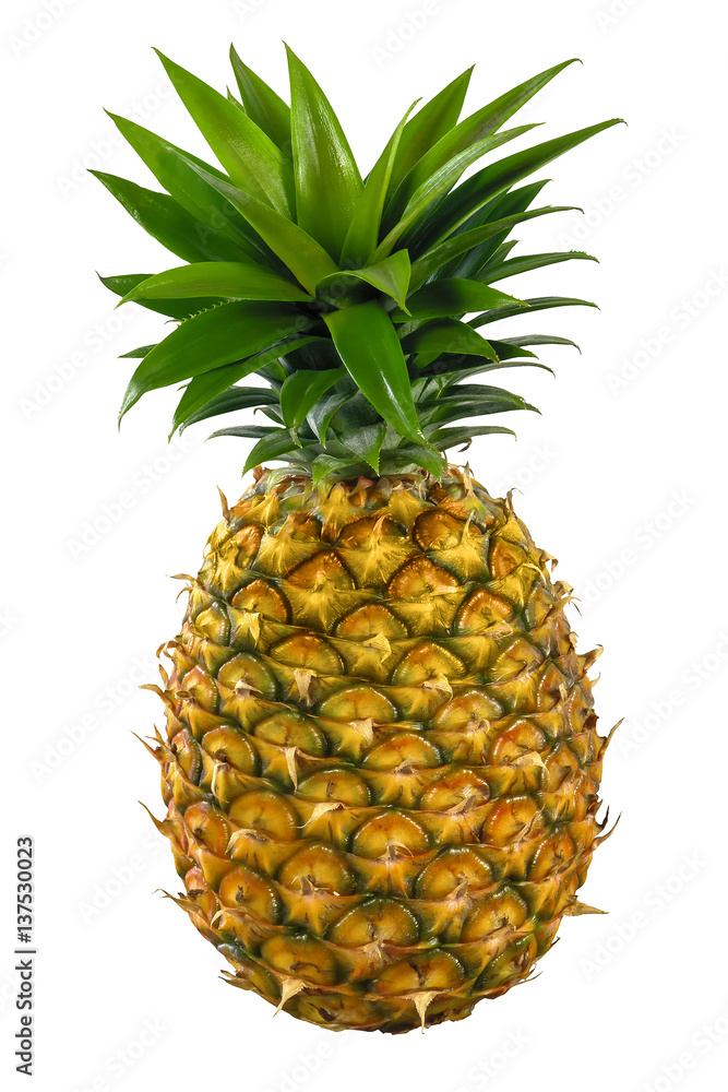 Fototapeta premium pineapple isolated on white background