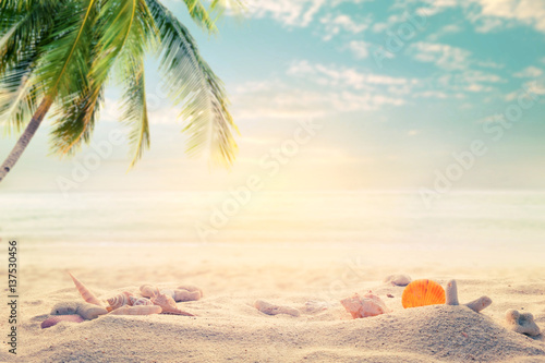 Fototapeta Naklejka Na Ścianę i Meble -  Seaside summer beach with starfish, shells, coral on sandbar and blur sea background. Concept of summertime on beach. vintage color tone.