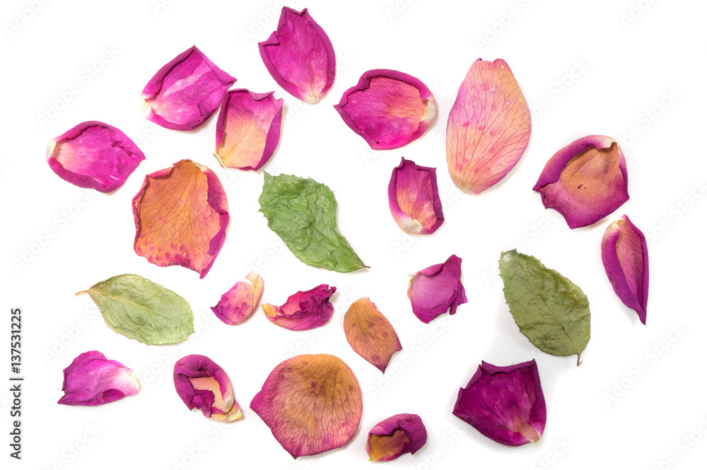 Obraz premium Flowers composition of dried rose flowers. Valentine's day. Dried rose petals close-up background
