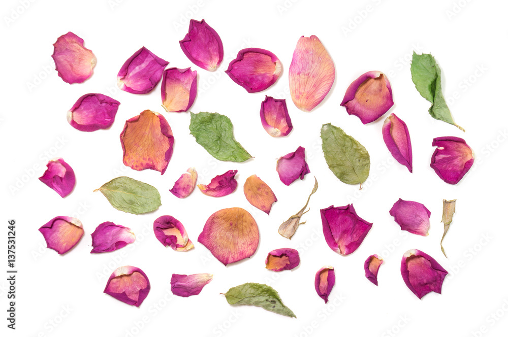 Naklejka premium Flowers composition of dried rose flowers. Valentine's day. Dried rose petals close-up background