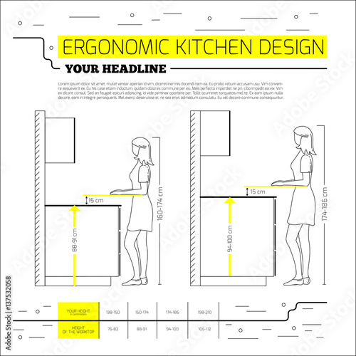 Infographics: ergonomics kitchen design. Vector illustration in line style on white background. Space for your text.