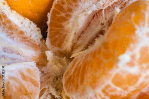 Mandarin Oranges