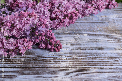 Lilac on Painted Wooden Background