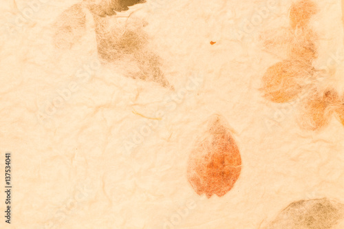 Mulberry paper with dry flower and leaf texture background in vintage tone