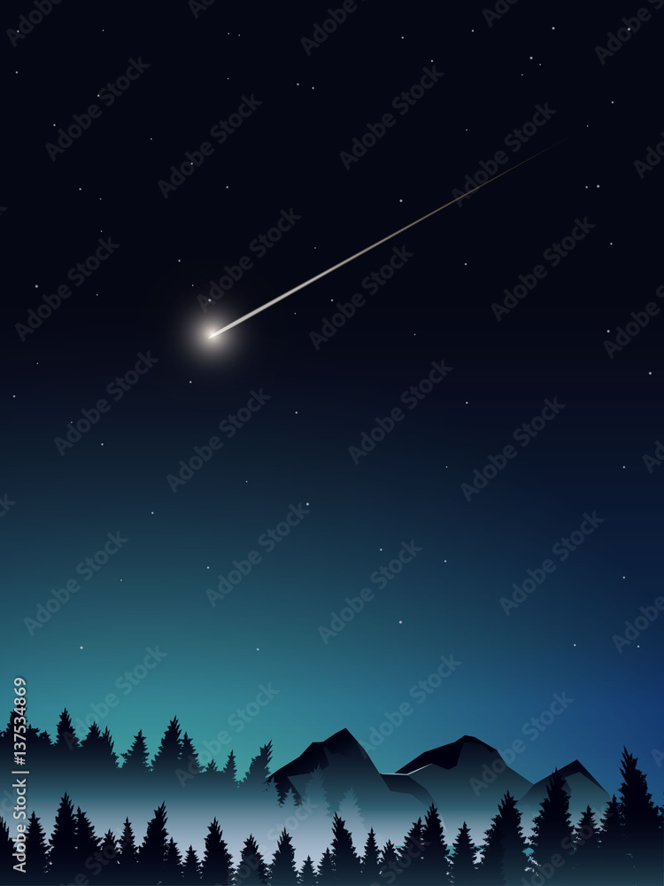 Fototapeta premium deep pine forest landscape when midnight
