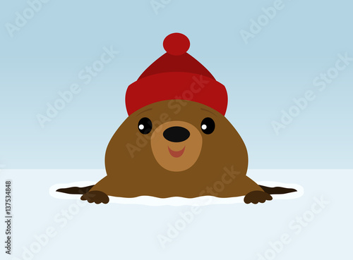 Groundhog wearing a winter hat