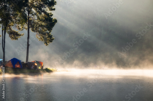Viewpoint pine forest sunlight shine on fog reservoir in omorning at pang oung