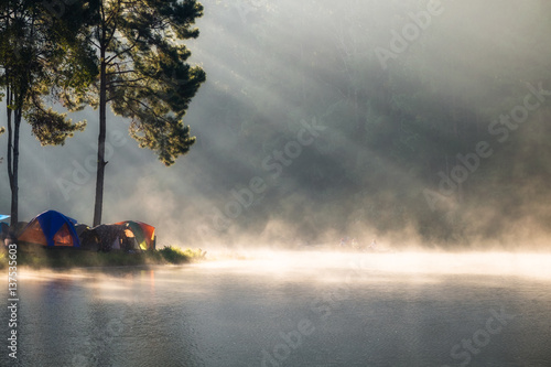 Viewpoint pine forest sunlight shine on fog reservoir in omorning at pang oung photo