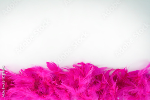 Natural pink feathers. Composition