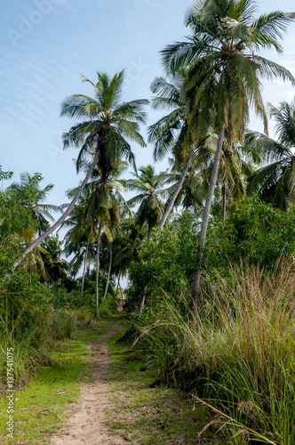 Wallpaper Mural Avlo Village au Bénin Torontodigital.ca