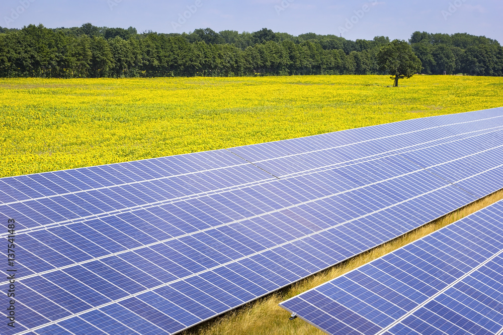 Solar energy station on a field in Brandenburg