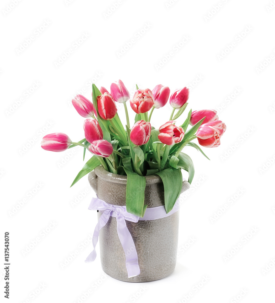tulips in a vase on a white background tulips in a vase on a white background