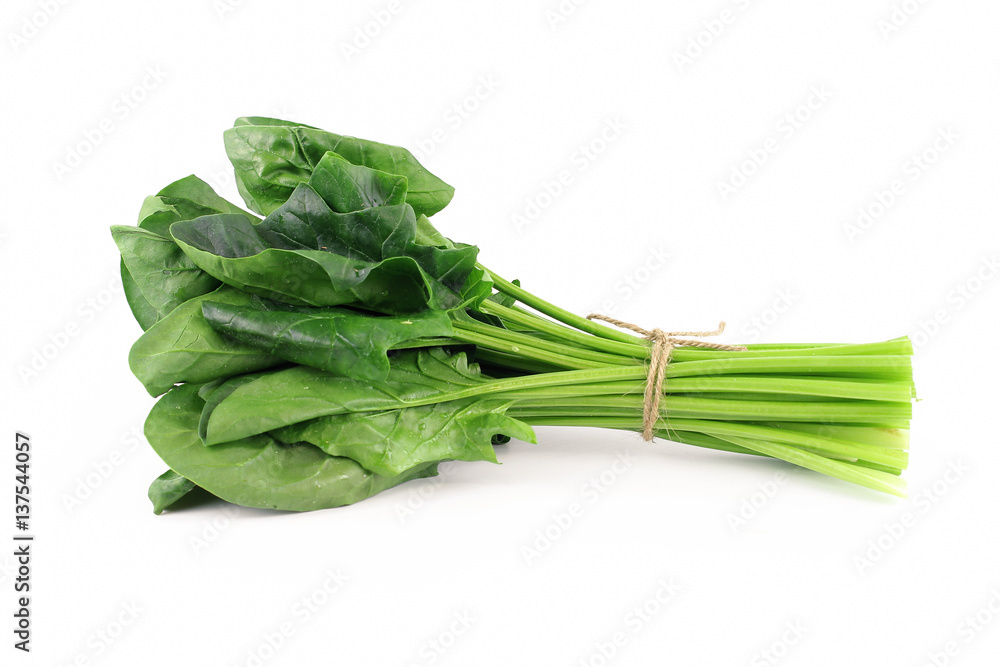 fresh spinach, high protein and amino acids fresh spinach, high protein and amino acids