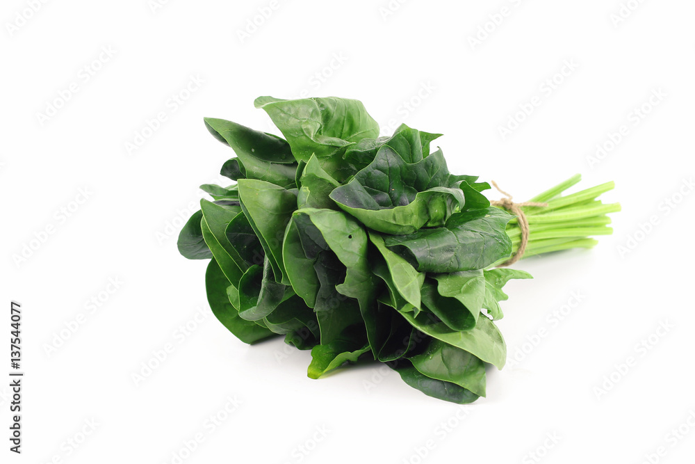 fresh spinach, high protein and amino acids fresh spinach, high protein and amino acids