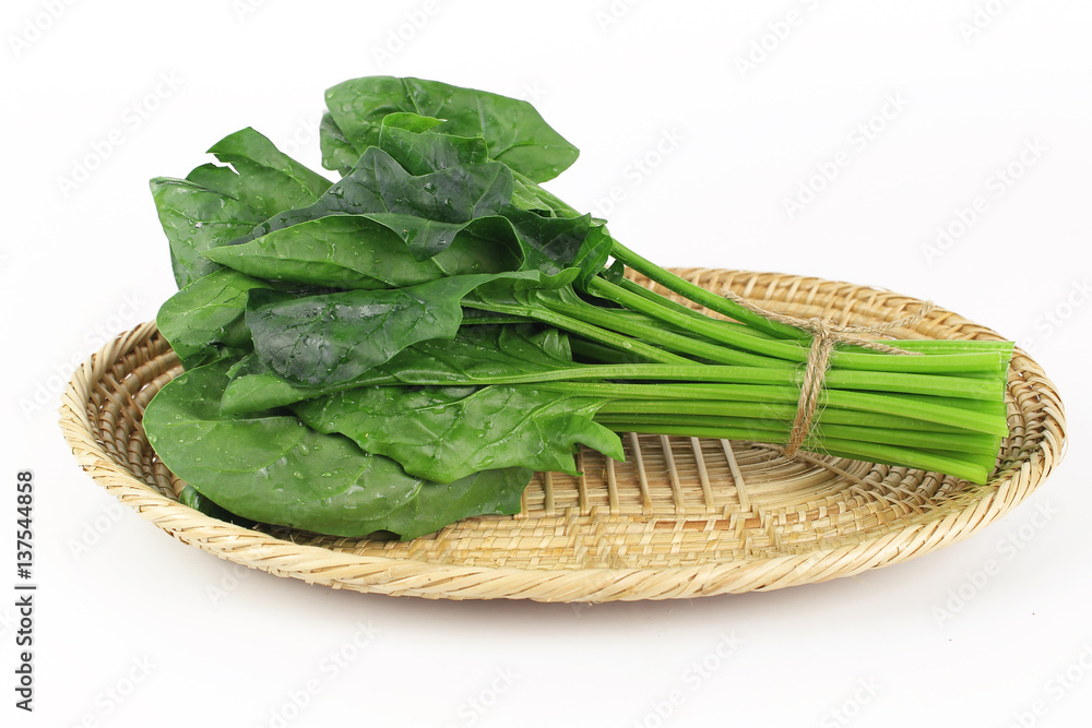 fresh spinach, high protein and amino acids fresh spinach, high protein and amino acids