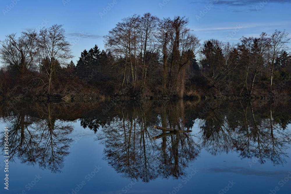Reflection of trees in a landscape of water