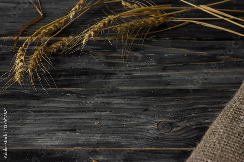 Background with wheat spikelets and sackcloth in a rustic style