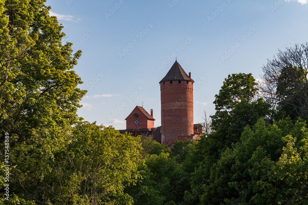 Obraz premium Ruins of medieval Turaida castle with towers in Latvia. Summer daytime.