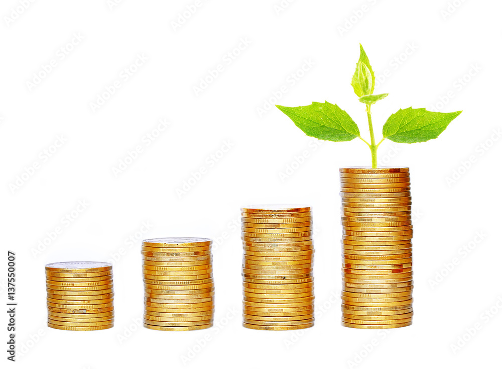 Many coins in column and green plant isolated on white Many coins in column and green plant isolated on white