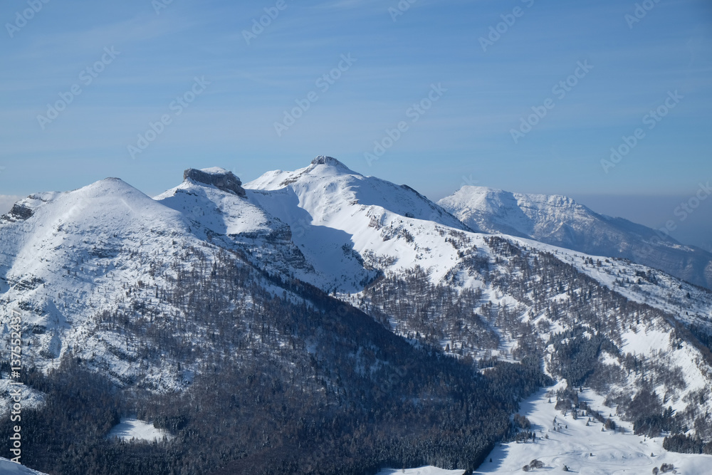 Freezing snow covered mountain tops with green frozen trees below. Cross-country skiing below the mountains. Clear winter sky.