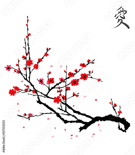 Realistic sakura blossom - Japanese cherry tree isolated on white background