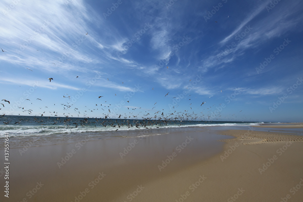 Vagueira beach in Aveiro, Portugal