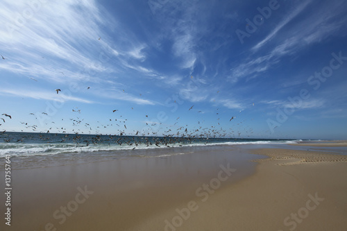 Vagueira beach in Aveiro, Portugal