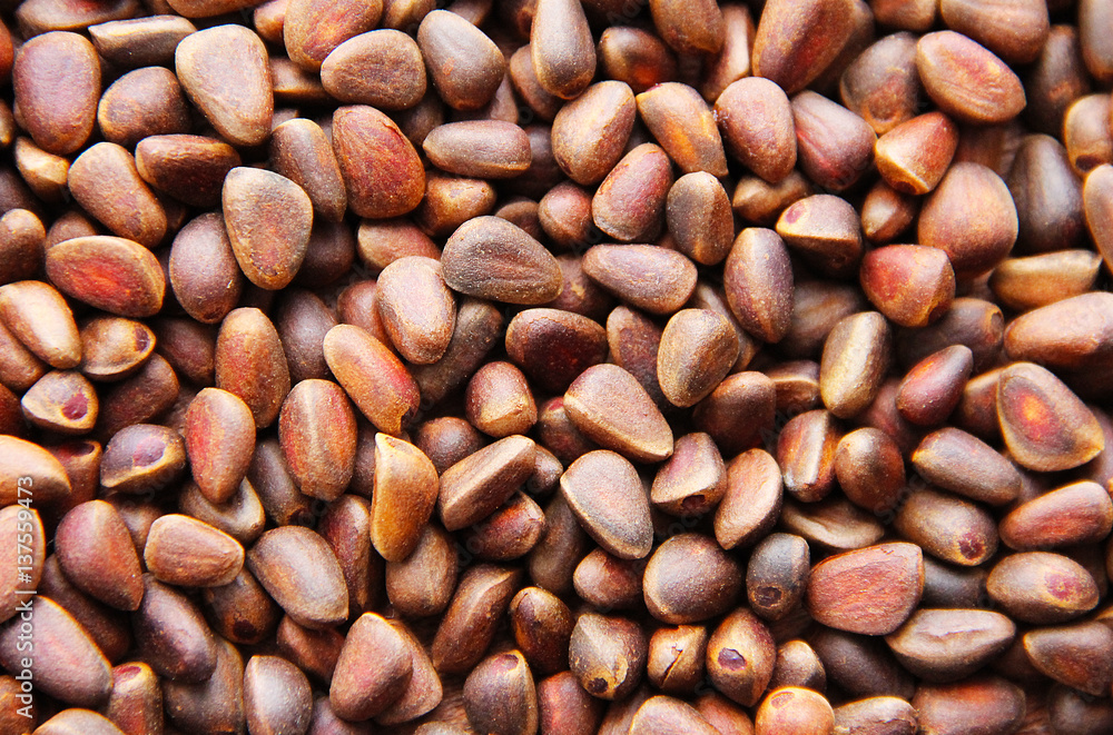 Pine nuts - small seeds of Siberian cedar pine. Pine nuts - small seeds of Siberian cedar pine.