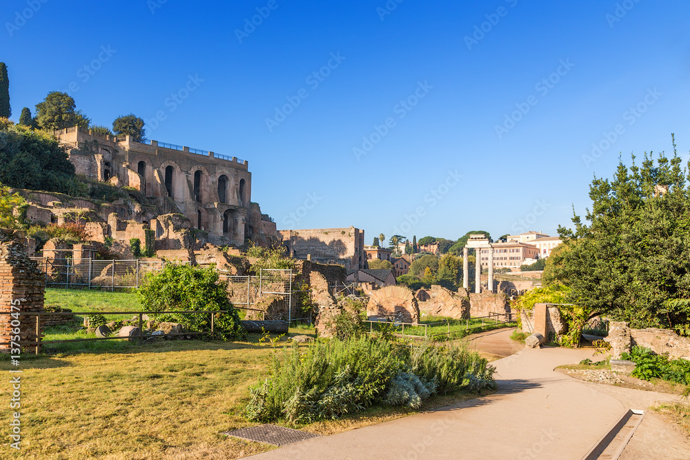 Rome, Italy. The ruins of the Roman Forum: the foreground Vespasian warehouses, to the left - the palace of Tiberius