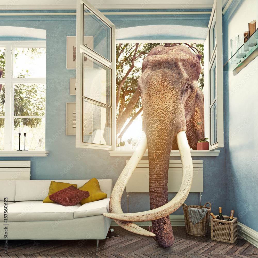 Obraz premium The elephant in the room. Photocombination concept